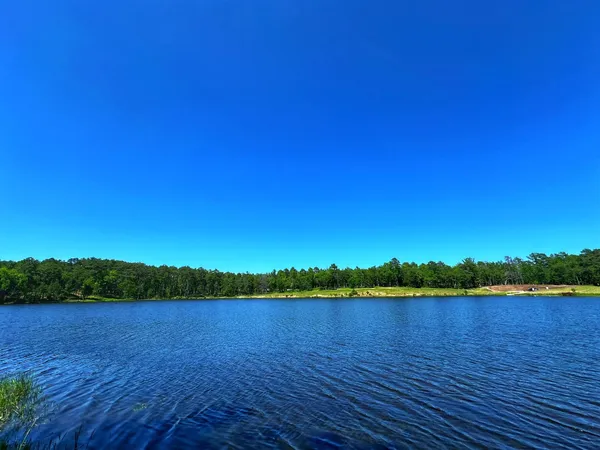 a view of a lake with a city view