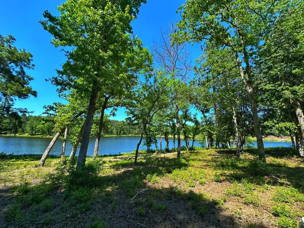 a view of a backyard with large trees