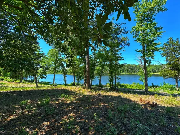 a big yard with lots of green space and deers