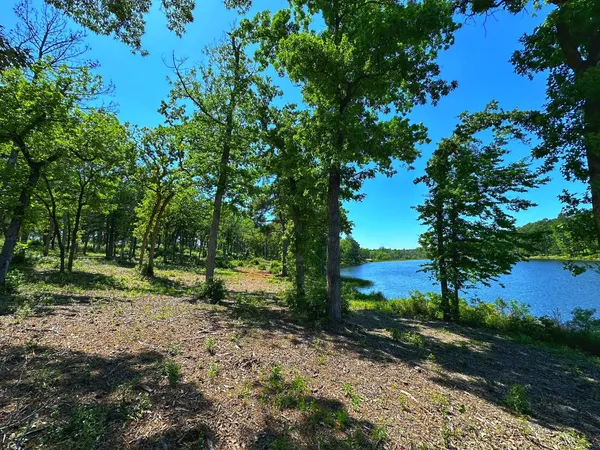 a view of a park with large trees