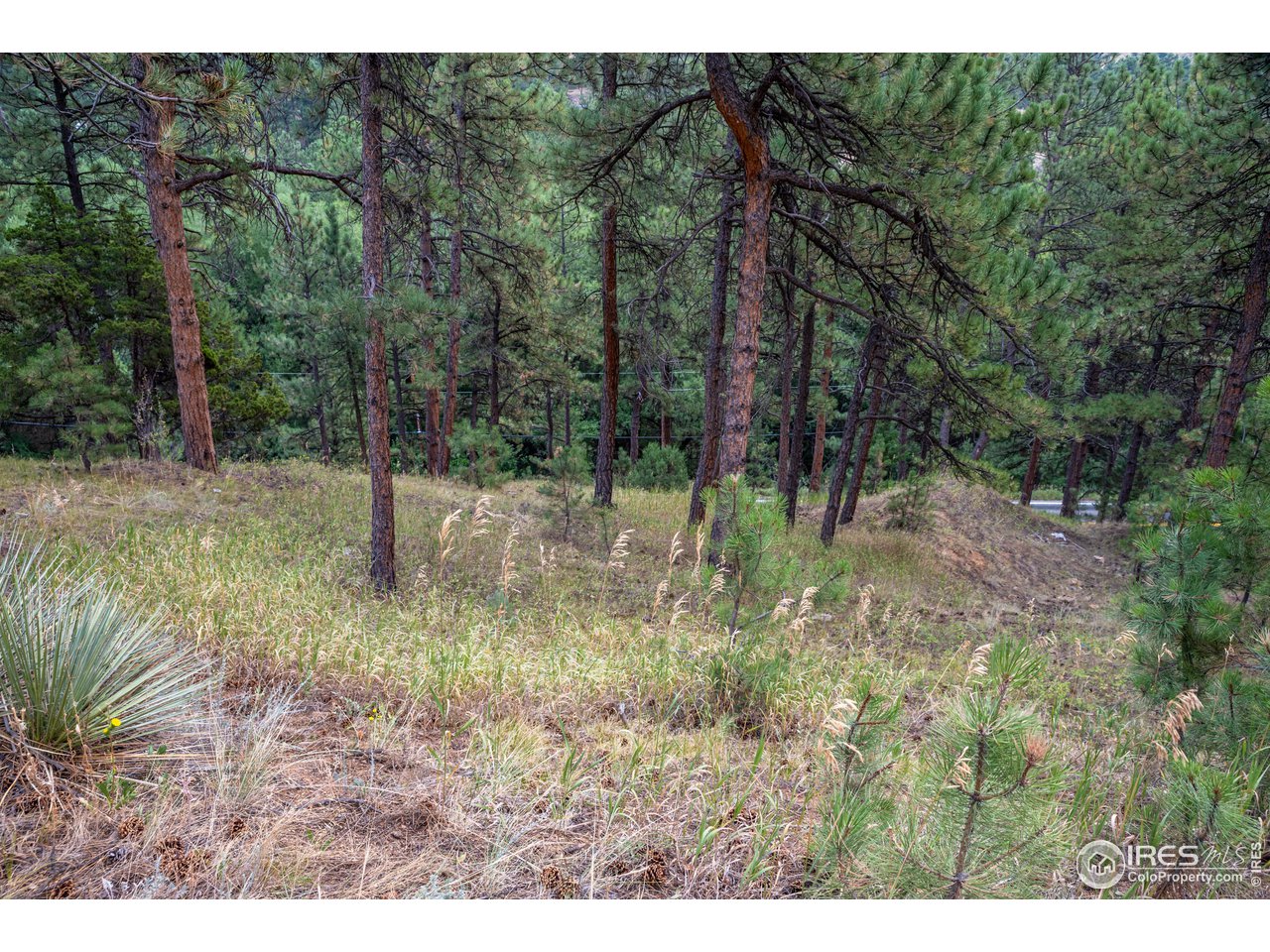 237 Kelly Road East Boulder, CO 80302 - Photo 2 of 10 Gallery Image 2