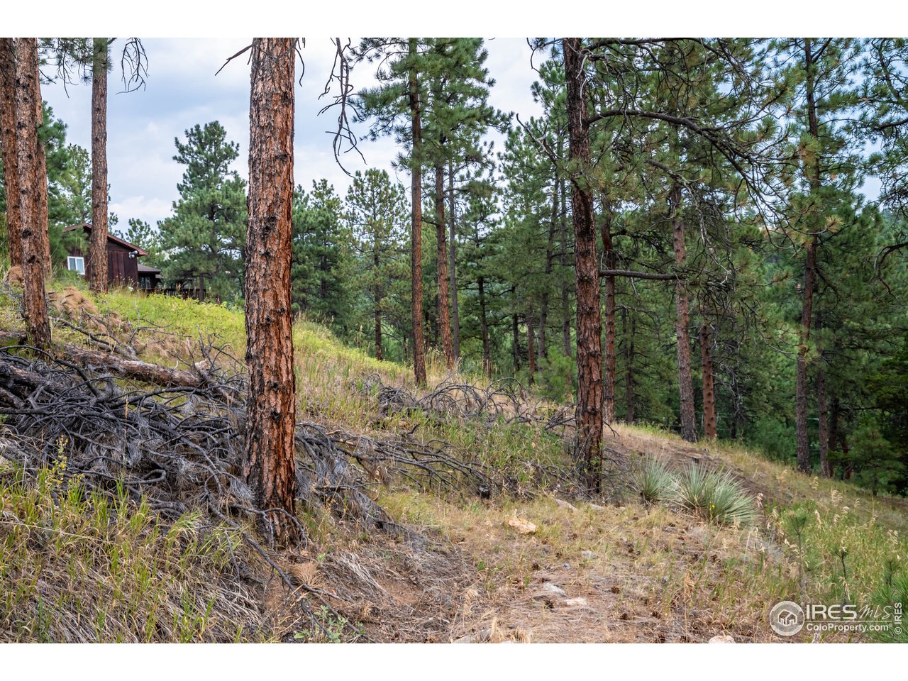 237 Kelly Road East Boulder, CO 80302 - Photo 3 of 10 Gallery Image 3