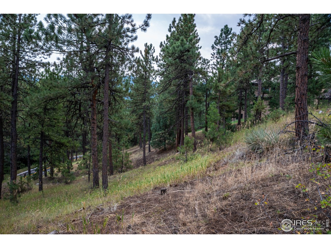 237 Kelly Road East Boulder, CO 80302 - Photo 4 of 10 Gallery Image 4