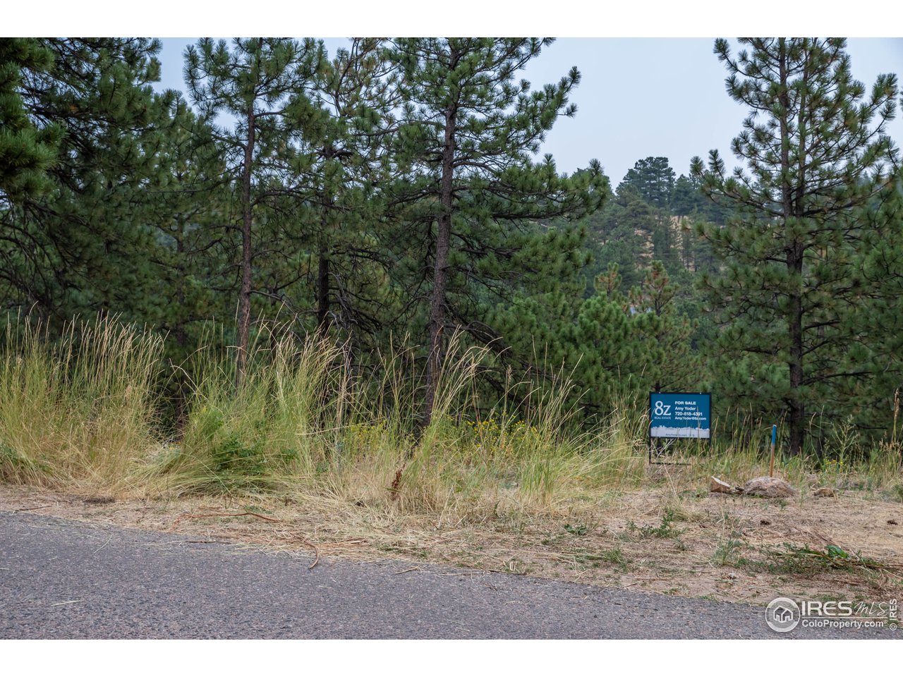 237 Kelly Road East Boulder, CO 80302 - Photo 5 of 10 Gallery Image 5