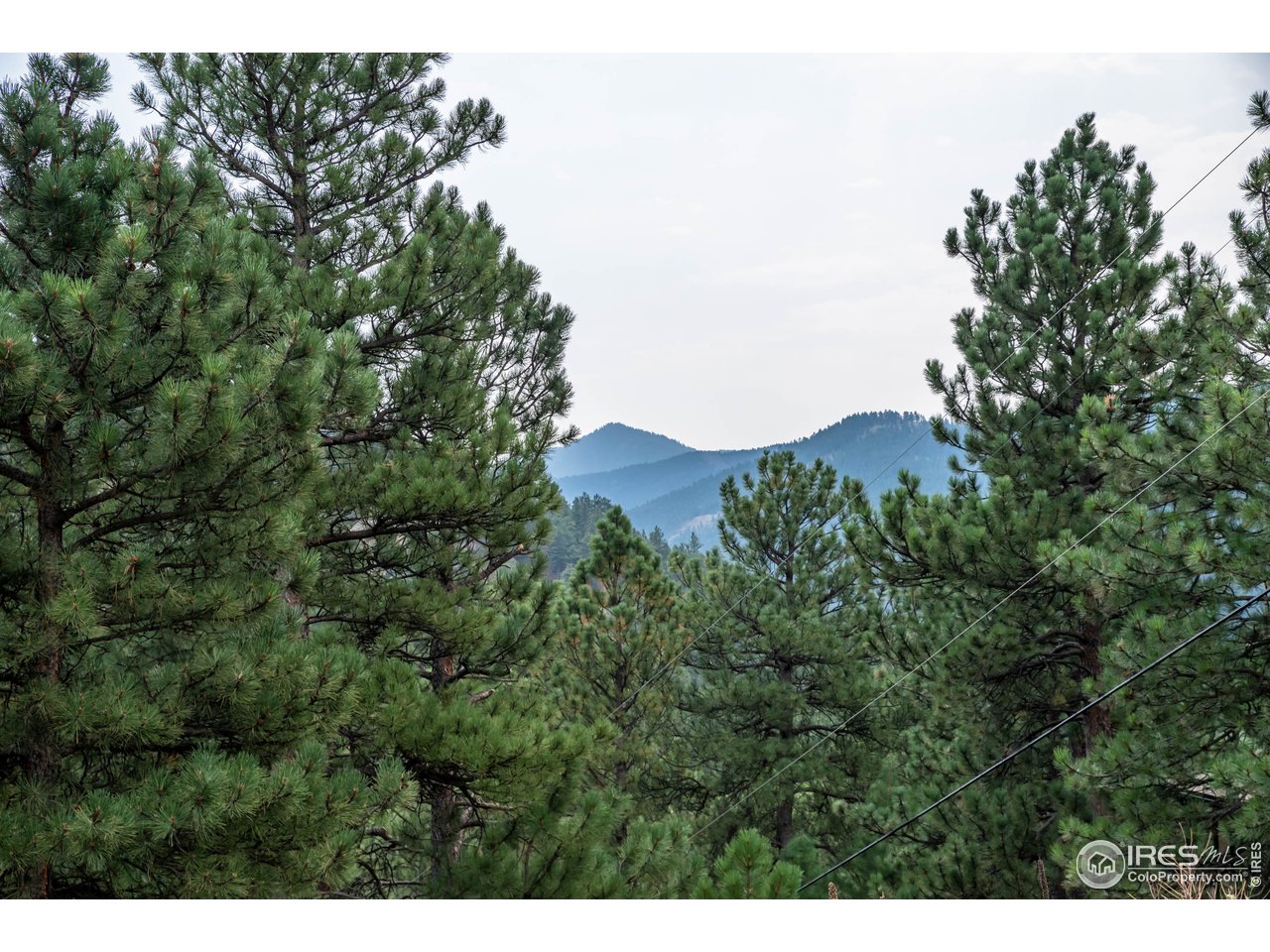 237 Kelly Road East Boulder, CO 80302 - Photo 6 of 10 Gallery Image 6