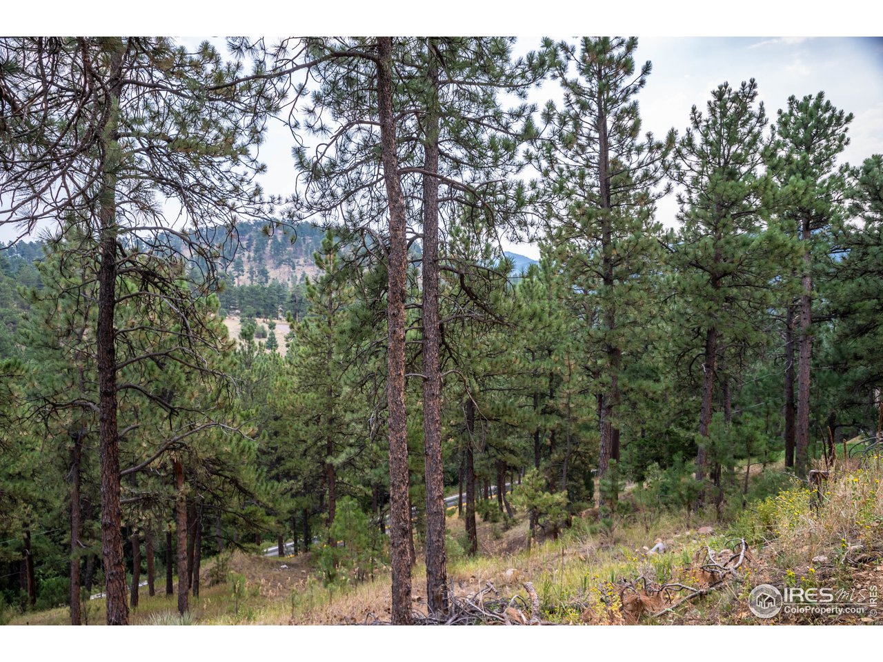 237 Kelly Road East Boulder, CO 80302 - Photo 7 of 10 Gallery Image 7