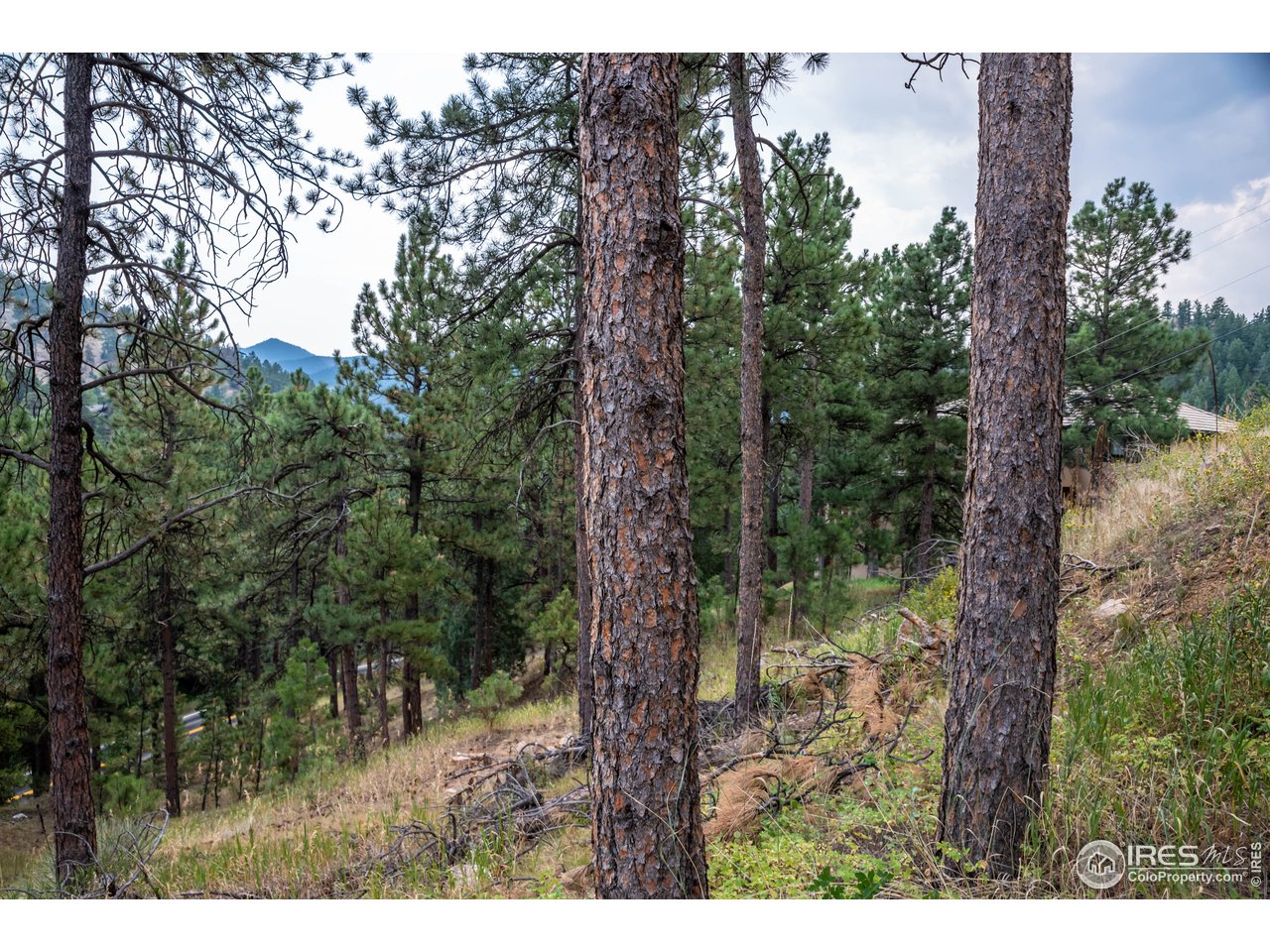 237 Kelly Road East Boulder, CO 80302 - Photo 8 of 10 Gallery Image 8