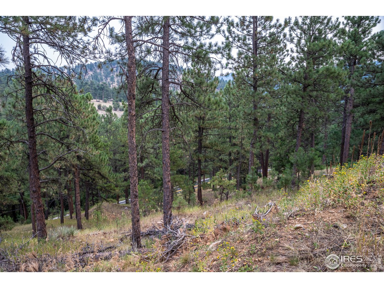 237 Kelly Road East Boulder, CO 80302 - Photo 9 of 10 Gallery Image 9