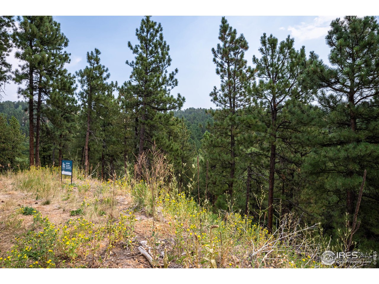 237 Kelly Road East Boulder, CO 80302 - Photo 10 of 10 Gallery Image 10