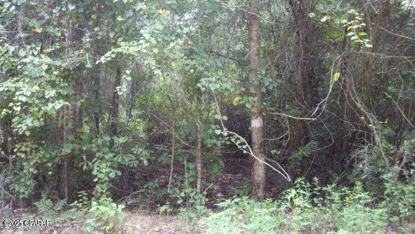 $10,000 | 0 T J Mitchell Road, Bonifay, FL 32425