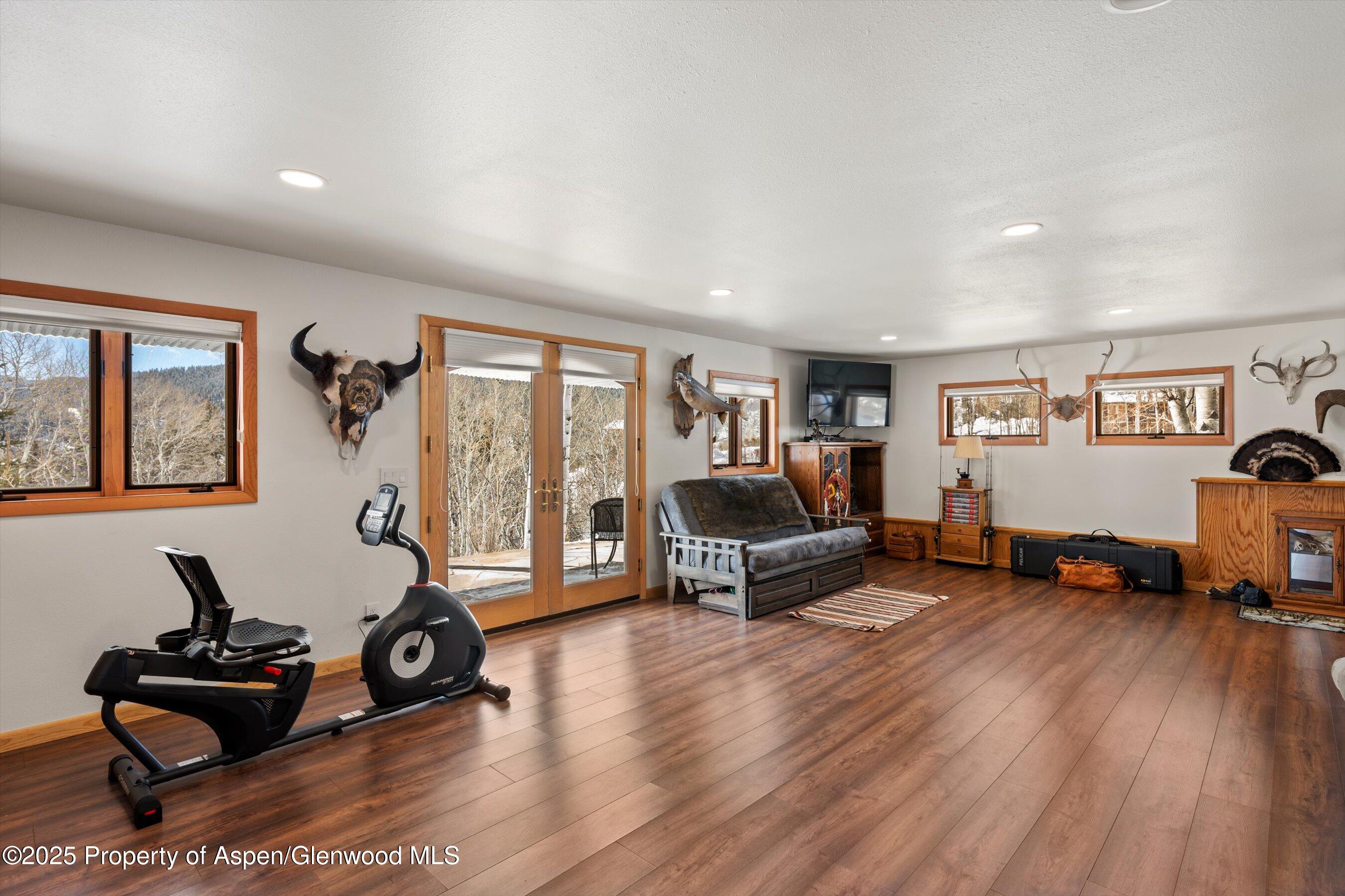 238 Hawk Lane Basalt, CO 81621 - Photo 37 of 46 a living room with furniture and a wooden floor