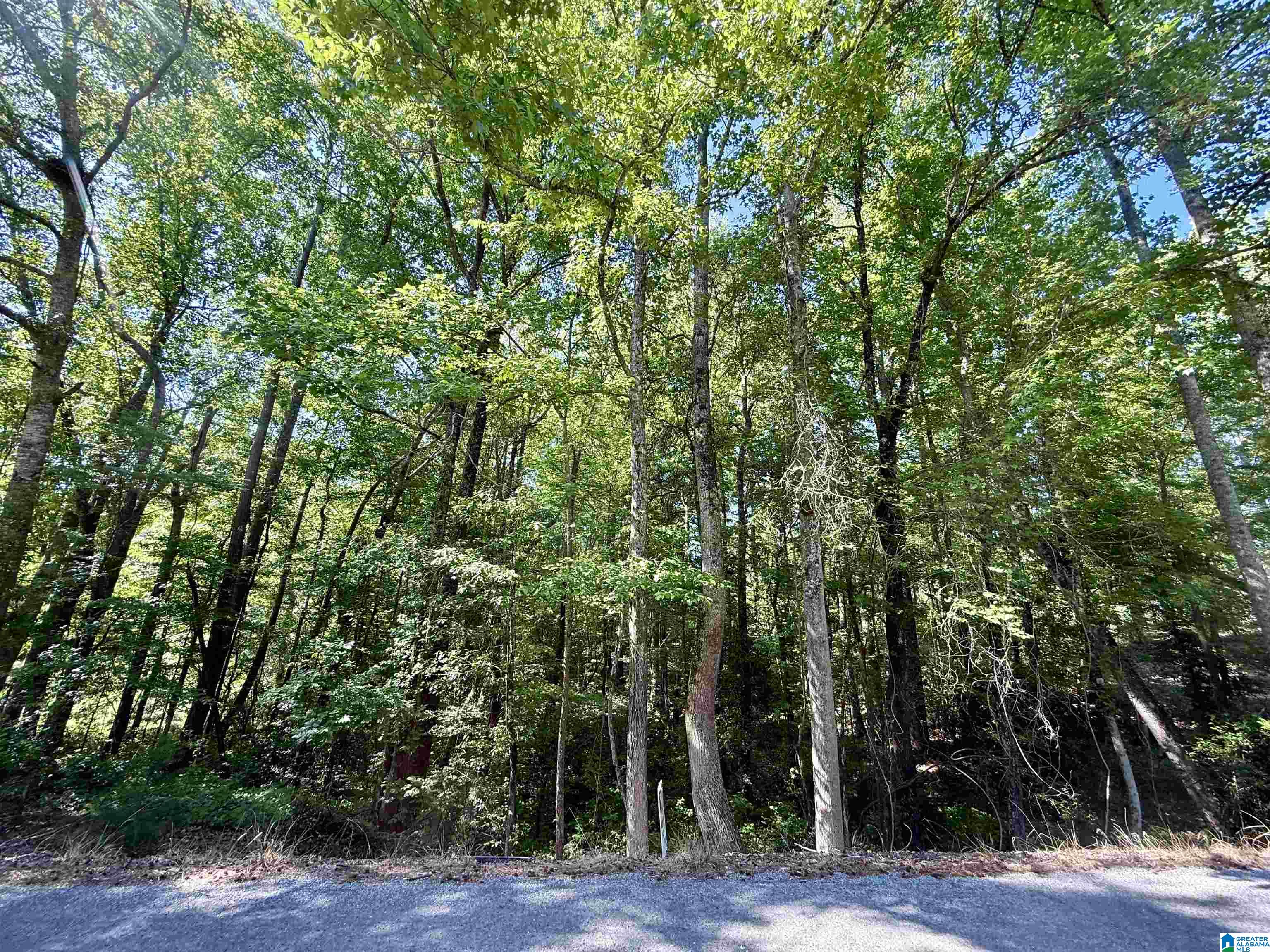 0 Settlement Road Sylacauga, AL 35150 - Photo 3 of 16
