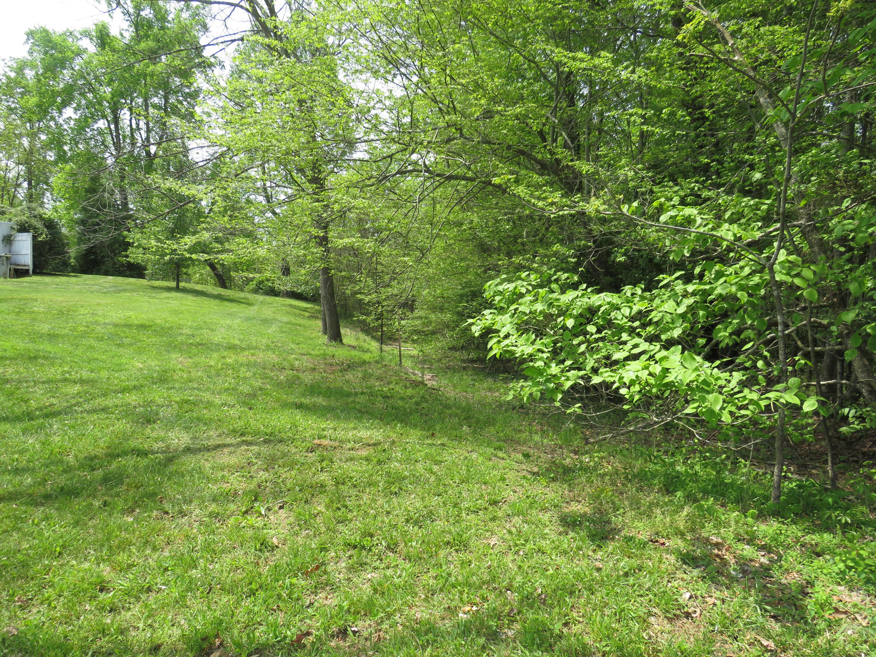 378 Walnut Road Lily, KY 40740 - Photo 11 of 33 IMG_1720