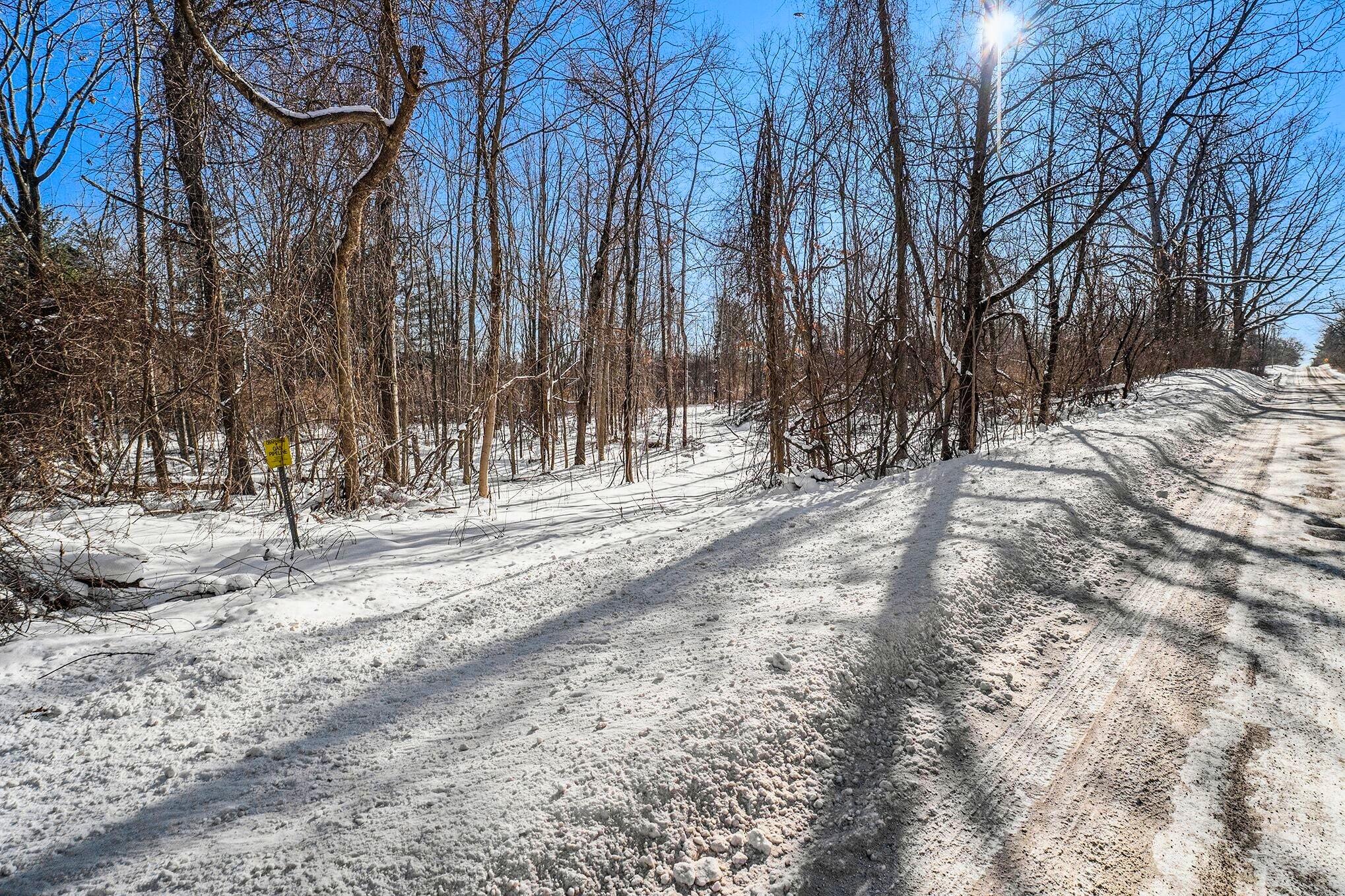 Vl Lake George Road Leonard, MI 48367 - Photo 5 of 15 VL Lake George Rd_5