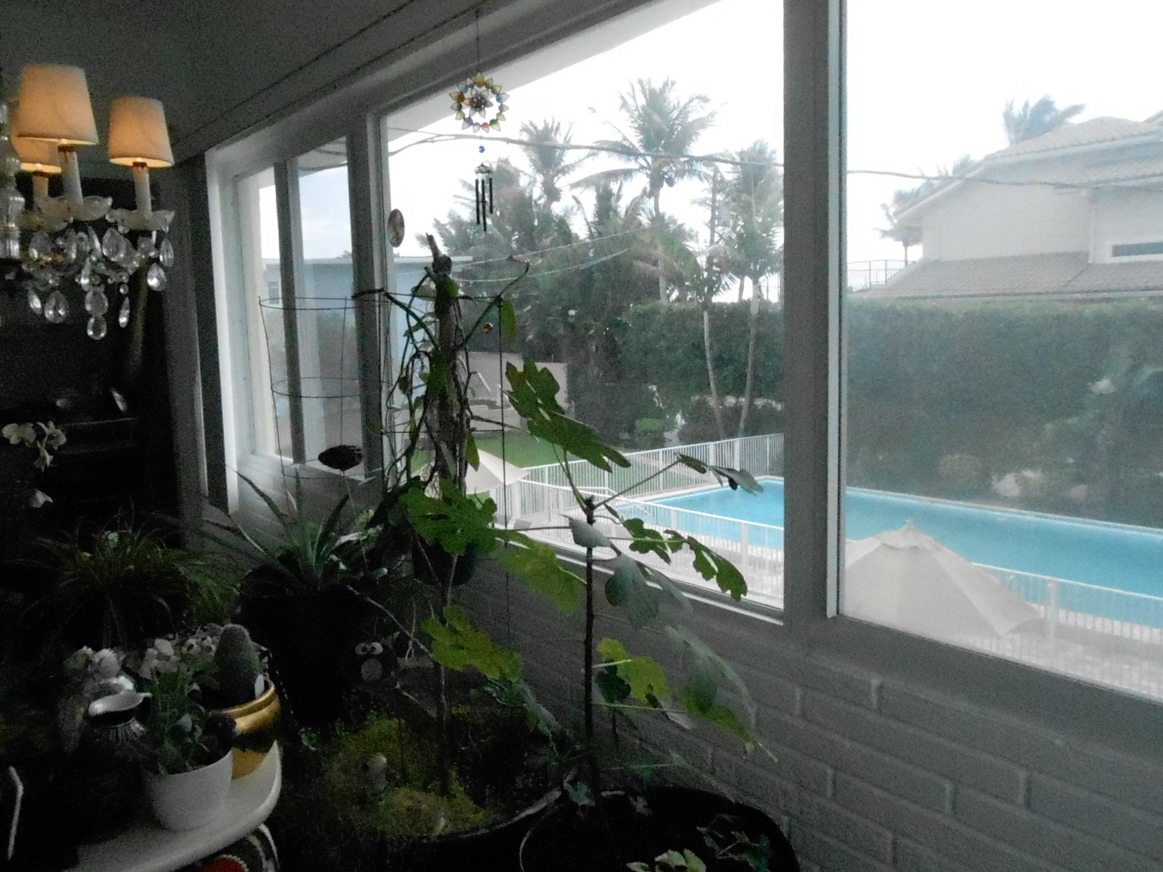 5700 Old Ocean Boulevard, Unit O Ocean Ridge, FL 33435 - Photo 6 of 11 Flynn Unit O view 031115 006.JPG