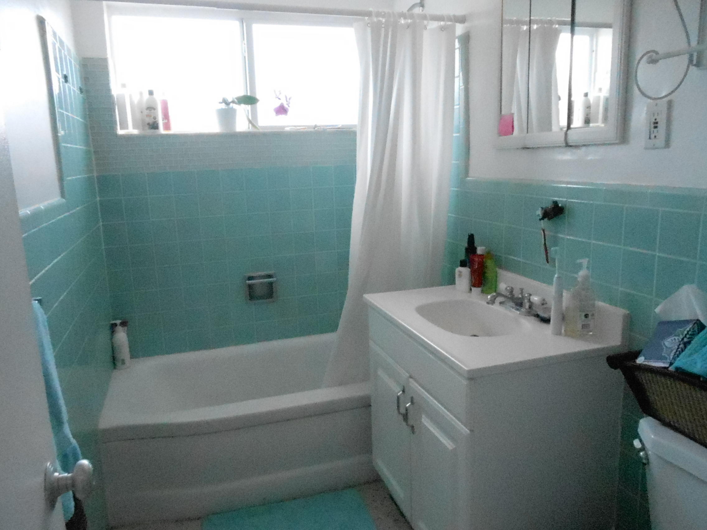 5700 Old Ocean Boulevard, Unit O Ocean Ridge, FL 33435 - Photo 7 of 11 Flynn Unit O bathroom 031115 007.JPG