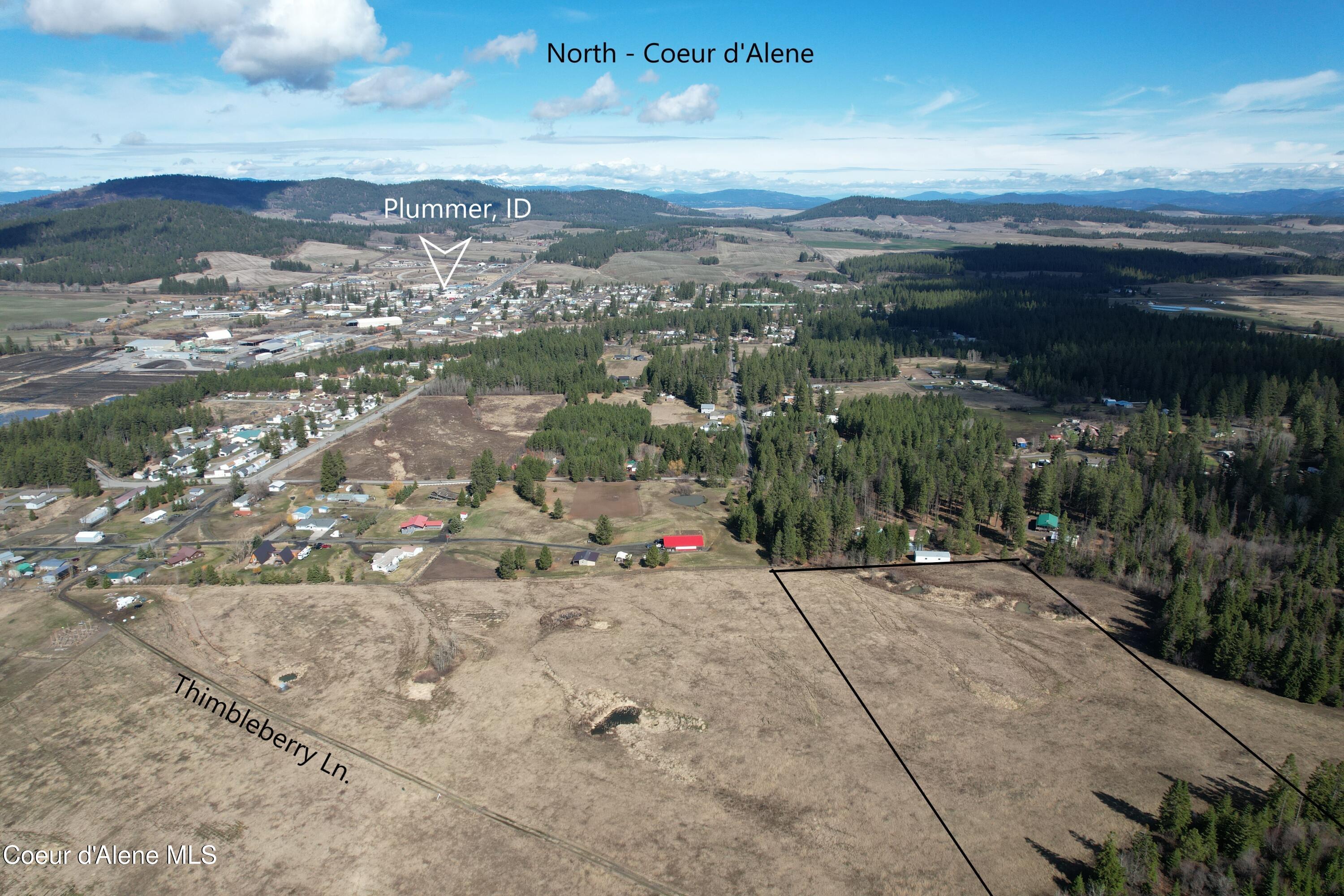 4 Thimbleberry Lane Plummer, ID 83851 - Photo 14 of 30 Aerial panoramic North