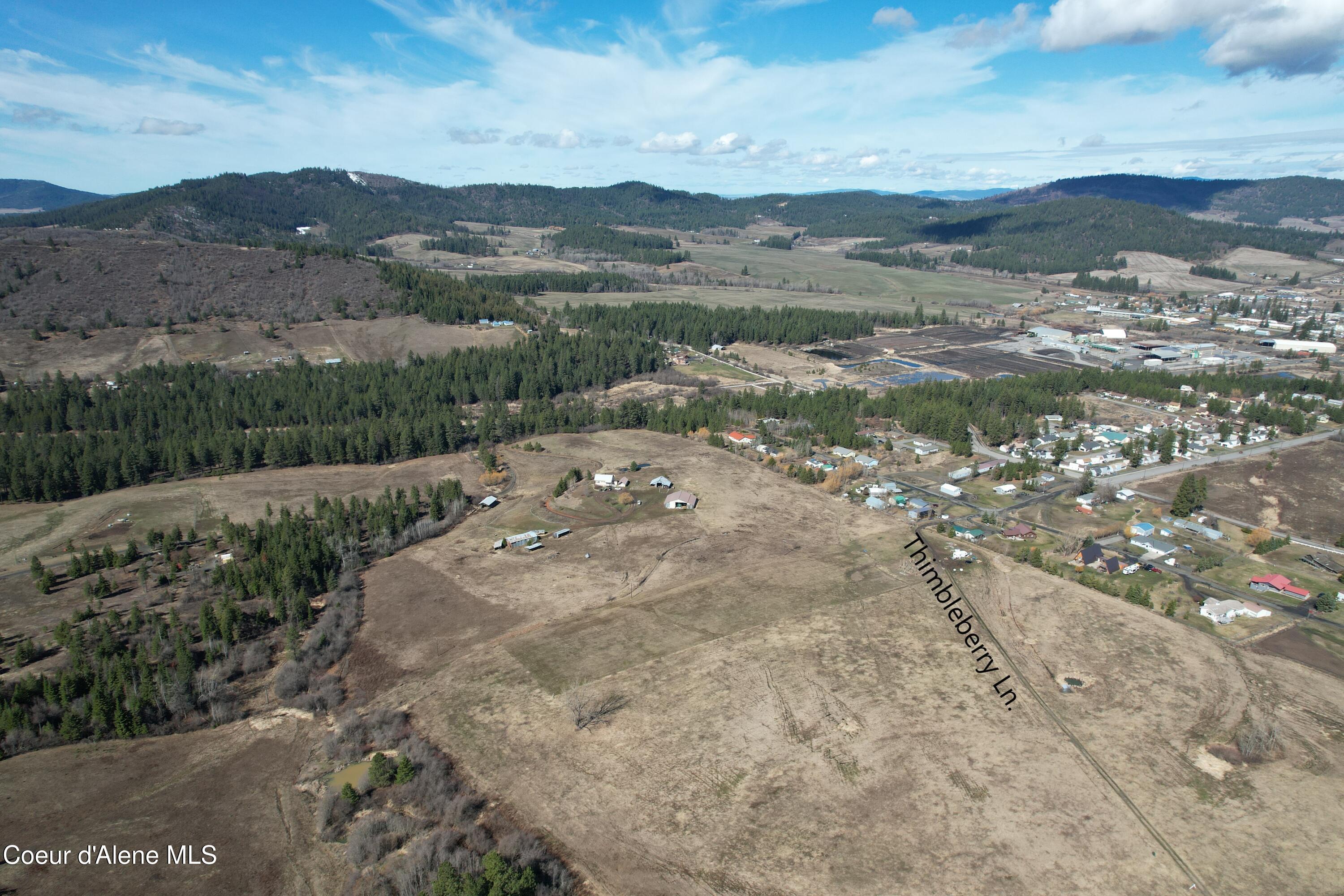 4 Thimbleberry Lane Plummer, ID 83851 - Photo 15 of 30 Aerial Northwest
