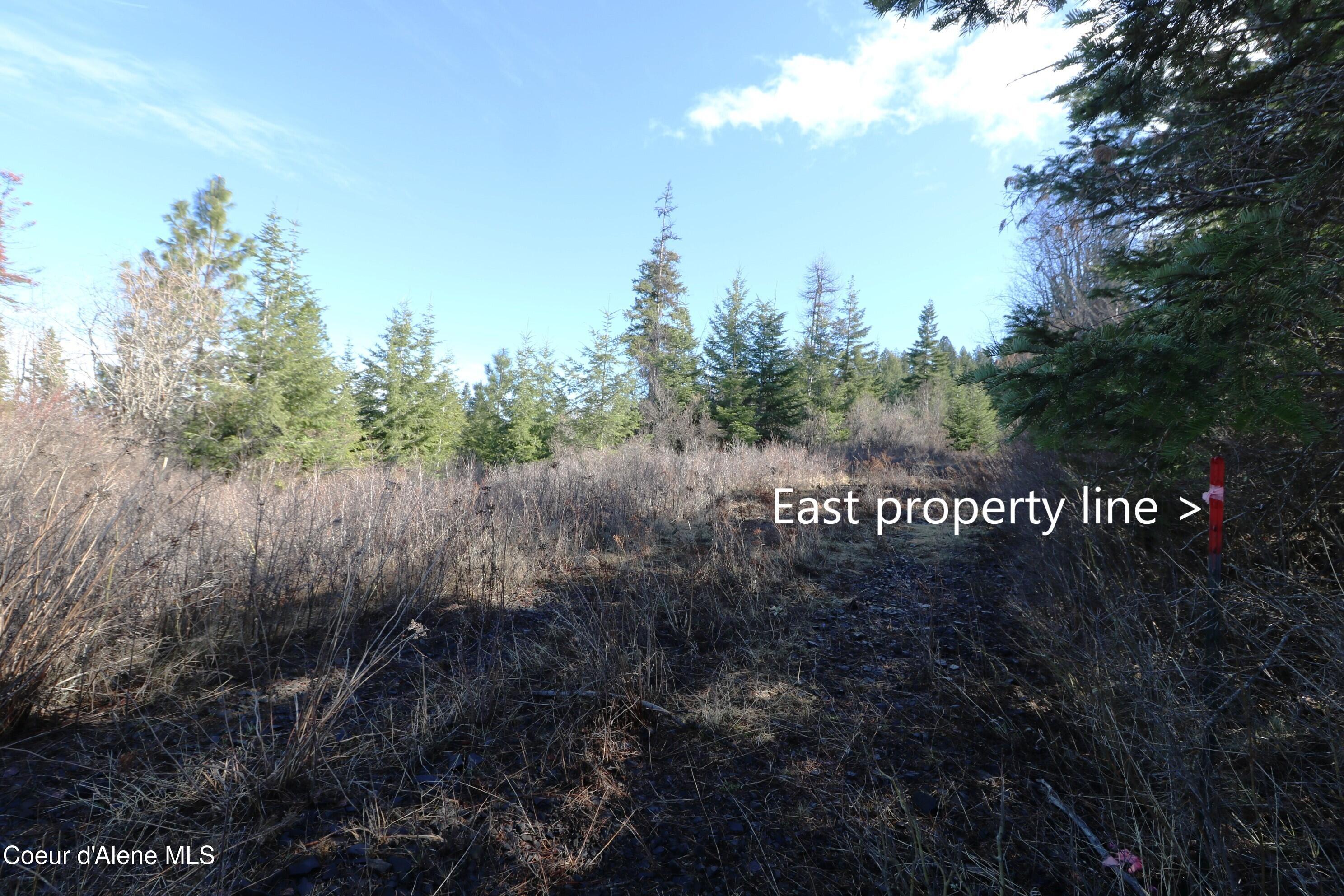 4 Thimbleberry Lane Plummer, ID 83851 - Photo 23 of 30 East property border pin