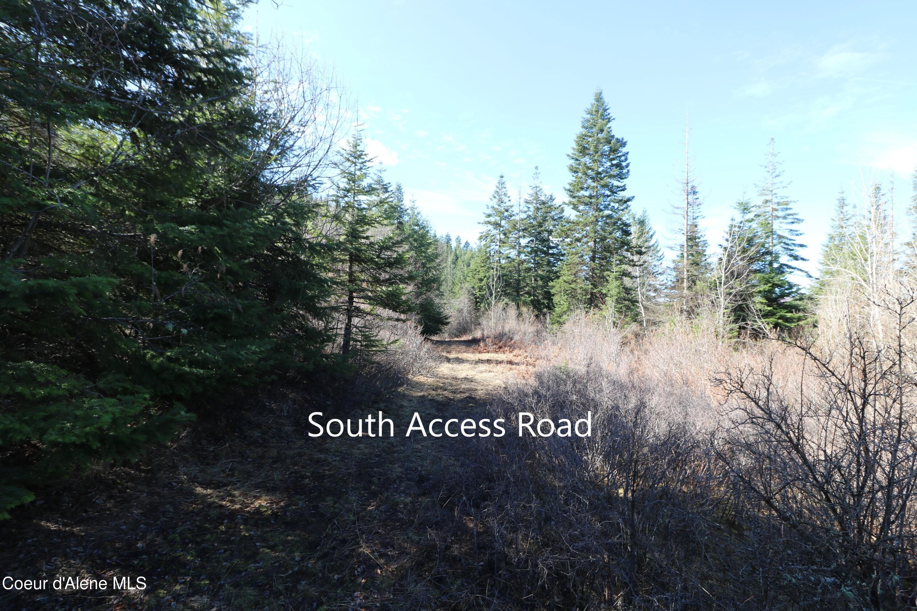 4 Thimbleberry Lane Plummer, ID 83851 - Photo 24 of 30 Access to treed area