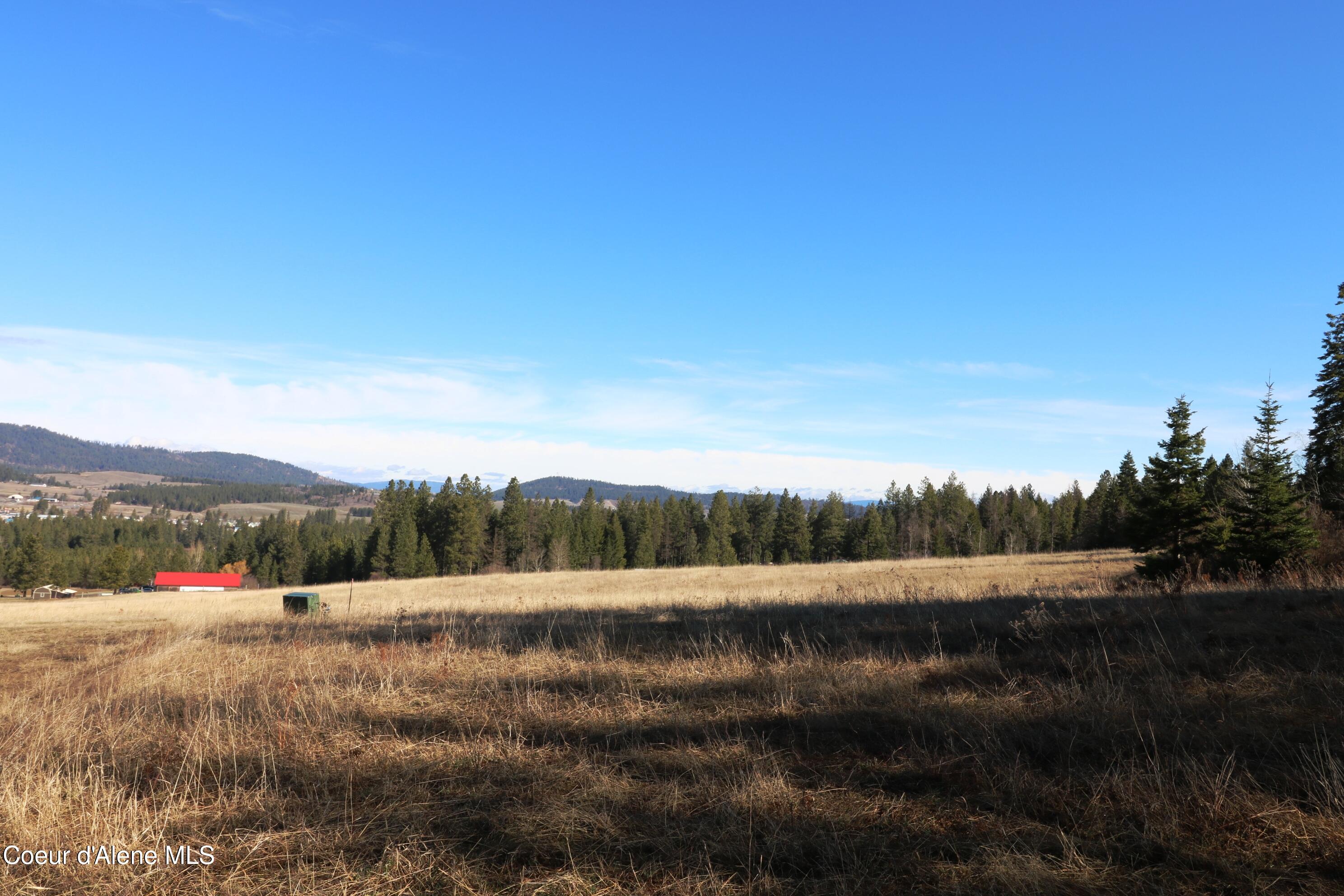 4 Thimbleberry Lane Plummer, ID 83851 - Photo 25 of 30 Field from access road