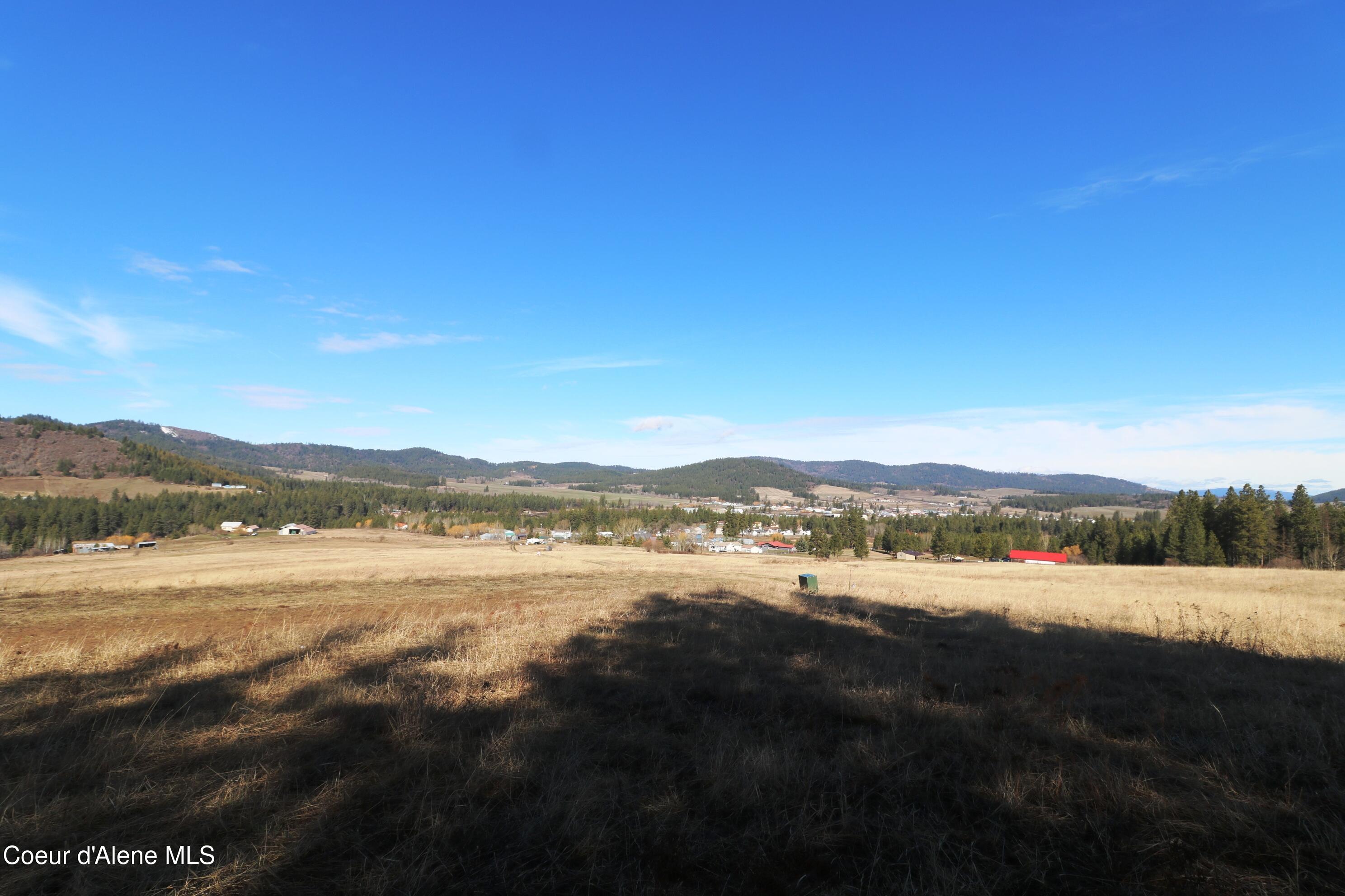 4 Thimbleberry Lane Plummer, ID 83851 - Photo 29 of 30 Field