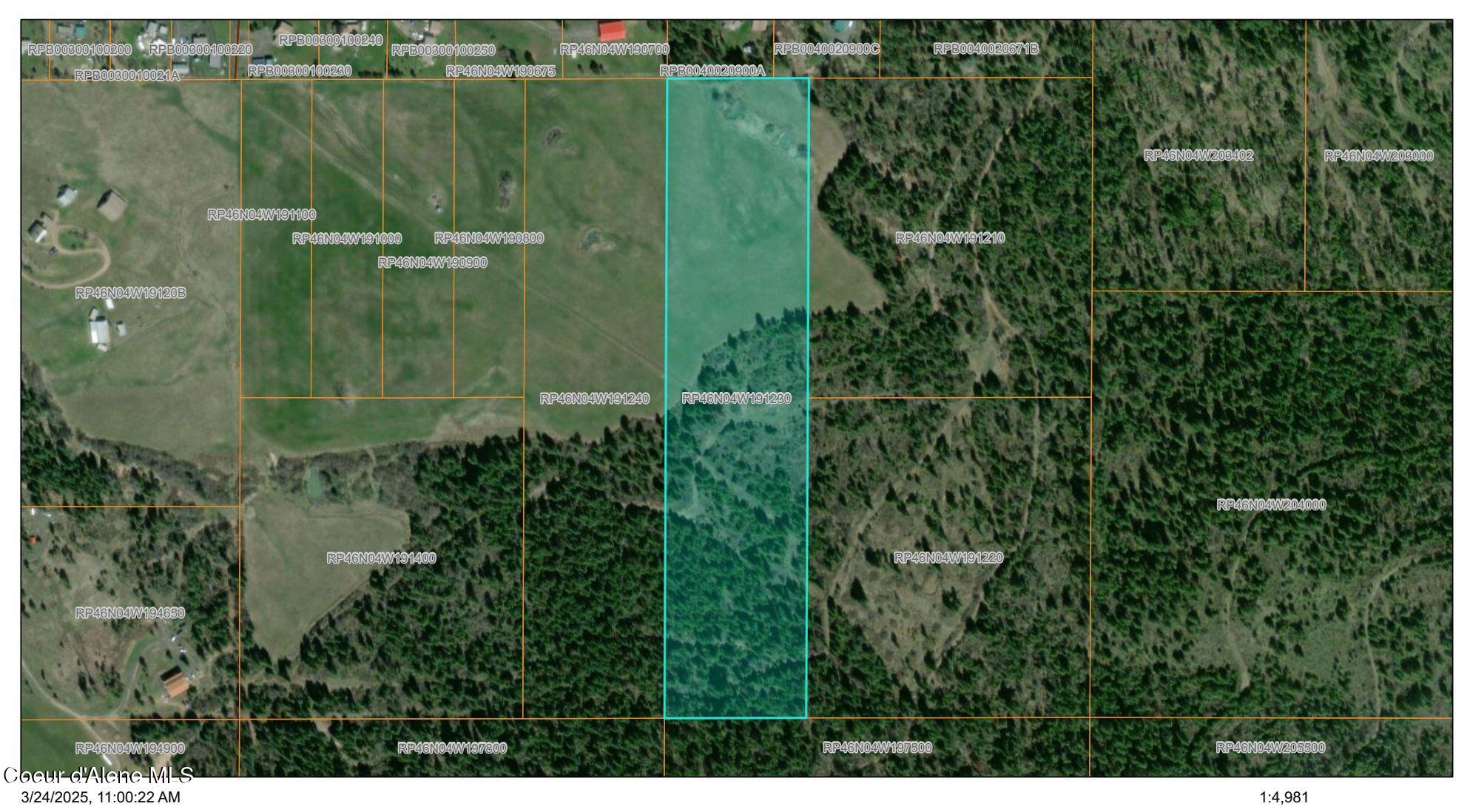 4 Thimbleberry Lane Plummer, ID 83851 - Photo 3 of 30 Plat Map/Aerial