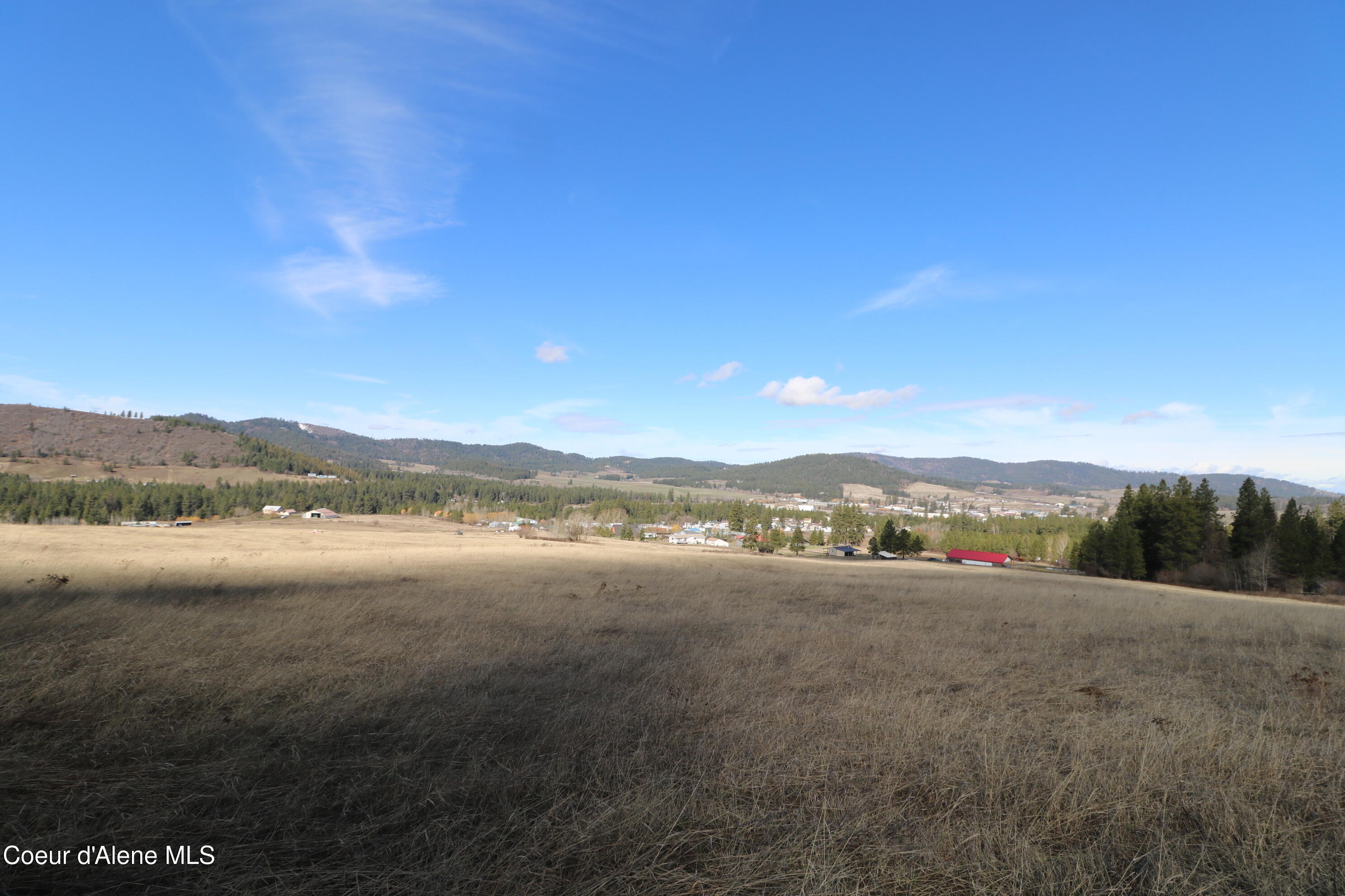 4 Thimbleberry Lane Plummer, ID 83851 - Photo 6 of 30 Field 3