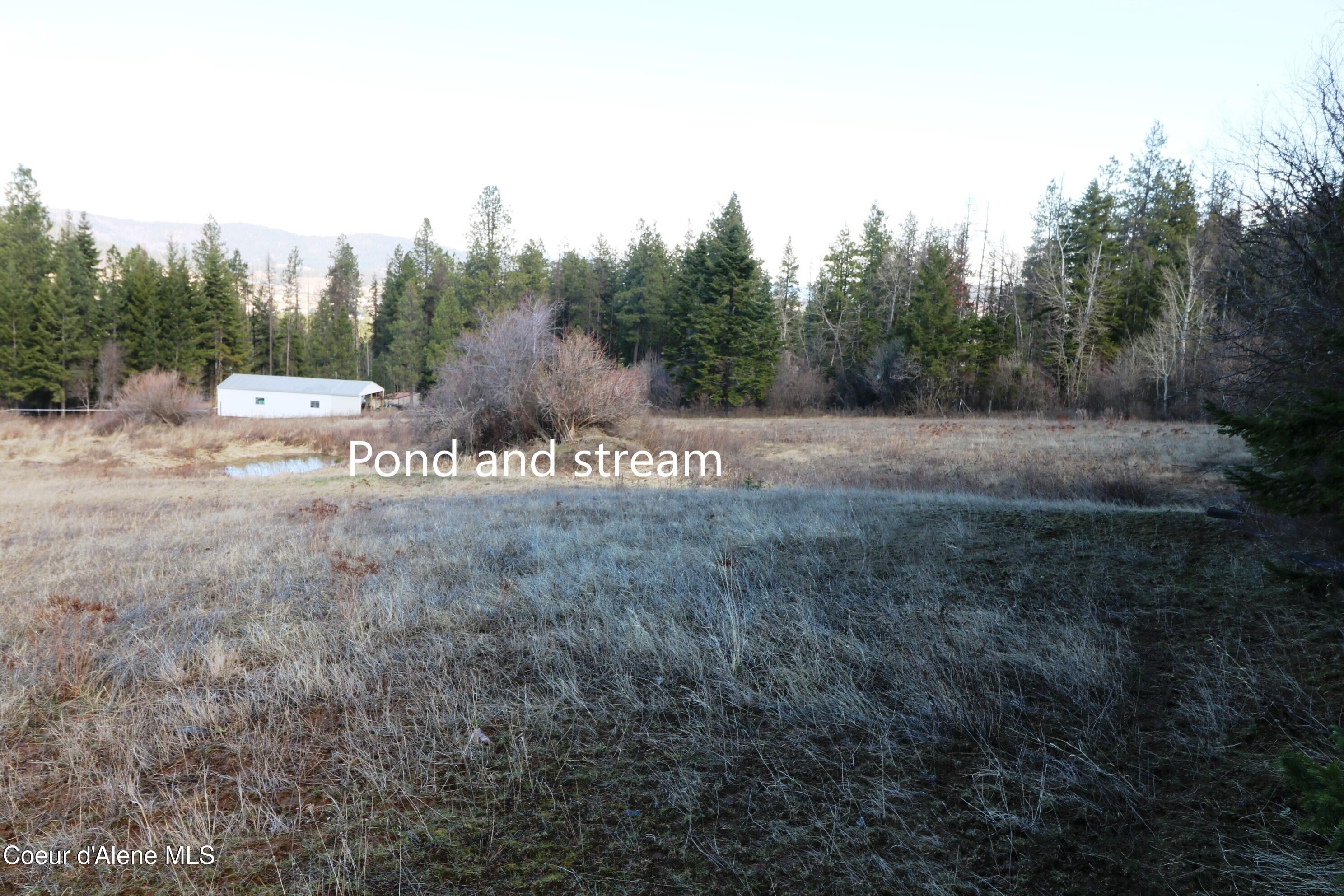 4 Thimbleberry Lane Plummer, ID 83851 - Photo 9 of 30 Pond & Stream