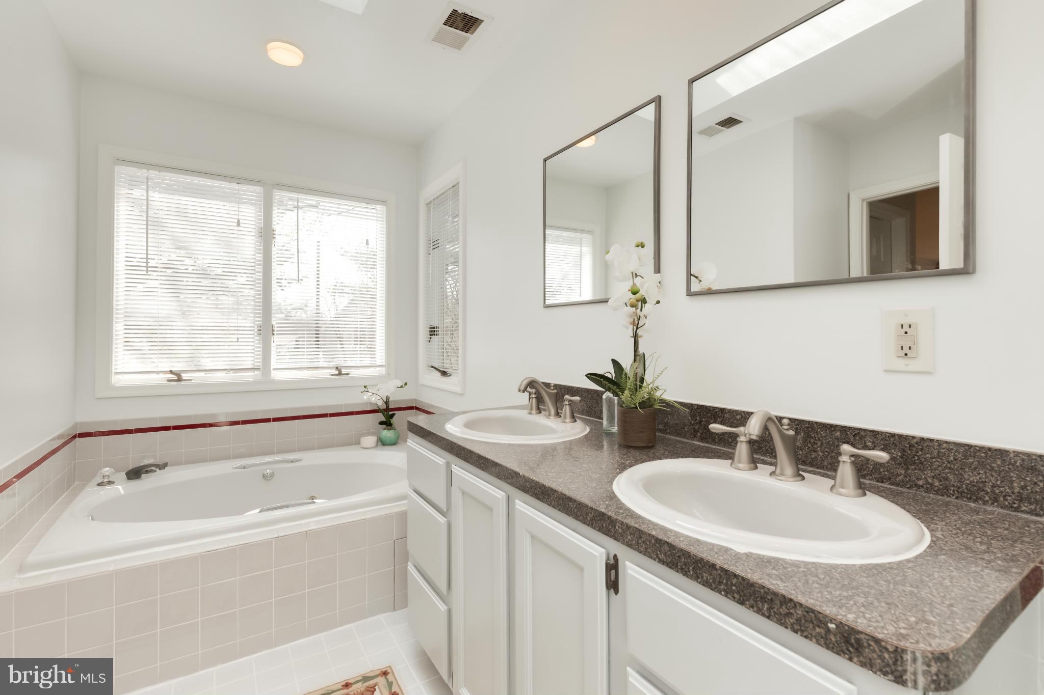 4508 19th Road North Arlington, VA 22207 - Photo 13 of 30 a bathroom with a granite countertop sink and a mirror