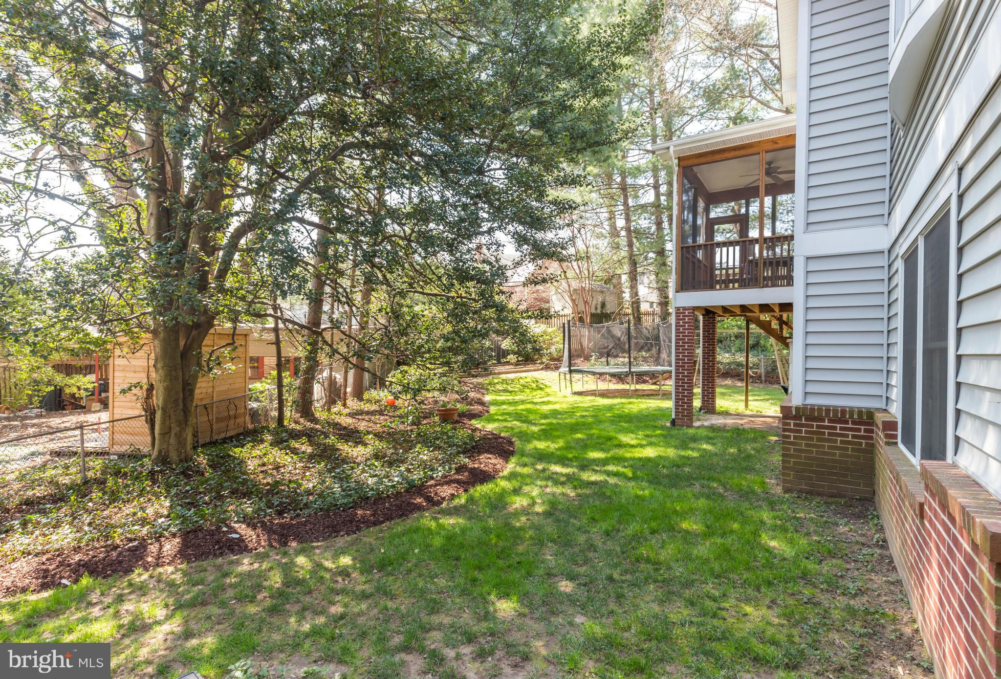 4508 19th Road North Arlington, VA 22207 - Photo 29 of 30 a view of a yard in front of a house with a large tree