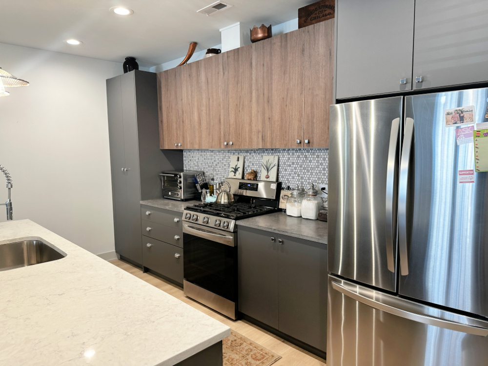 4420 South Prairie Avenue, Unit 3 Chicago, IL 60653 - Photo 4 of 16