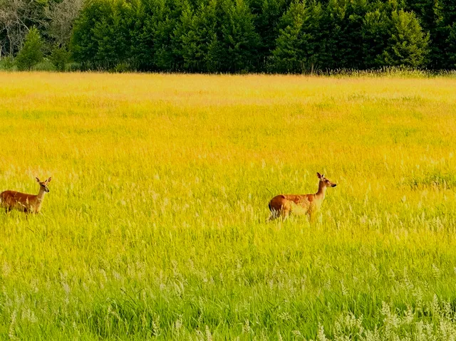 $749,900 | 1834 Marne Road, Bolingbrook, IL 60490