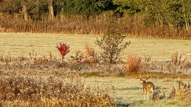$749,900 | 1834 Marne Road, Bolingbrook, IL 60490