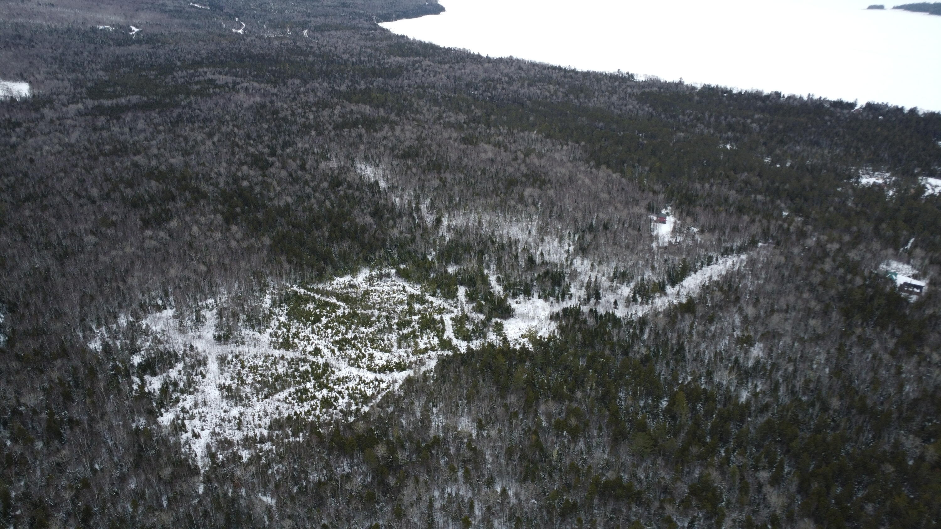 M3-l9.11 Bemis Road Rangeley, ME 04970 - Photo 12 of 20 Top of parcel down to lake