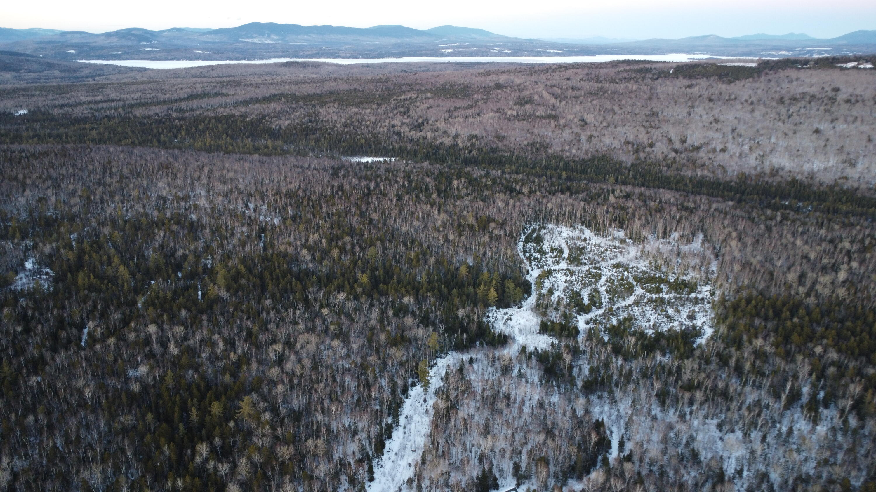 M3-l9.11 Bemis Road Rangeley, ME 04970 - Photo 16 of 20 Top of Parcel Toward Rangeley