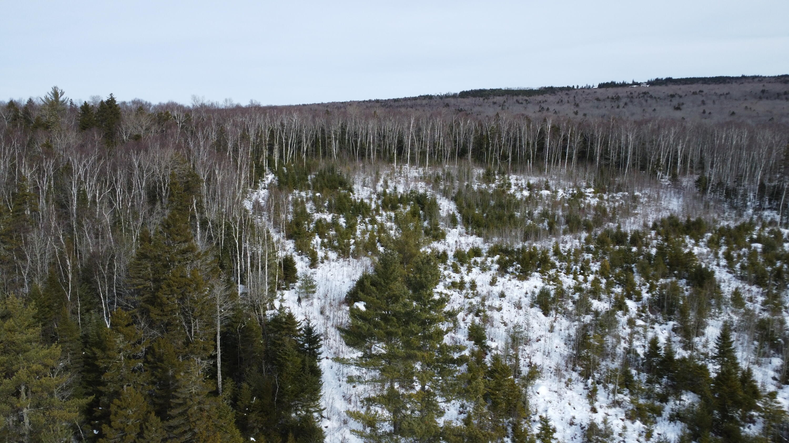 M3-l9.11 Bemis Road Rangeley, ME 04970 - Photo 17 of 20 Top of Parcel Toward Rangeley