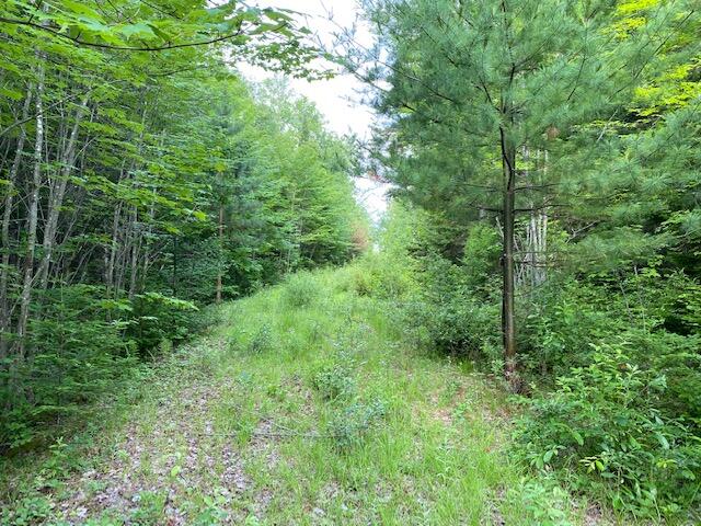 M3-l9.11 Bemis Road Rangeley, ME 04970 - Photo 19 of 20 Shared Driveway