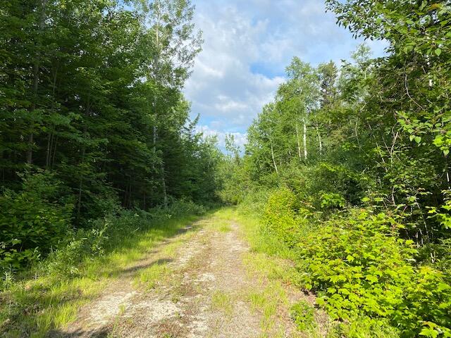 M3-l9.11 Bemis Road Rangeley, ME 04970 - Photo 20 of 20 Shared Driveway