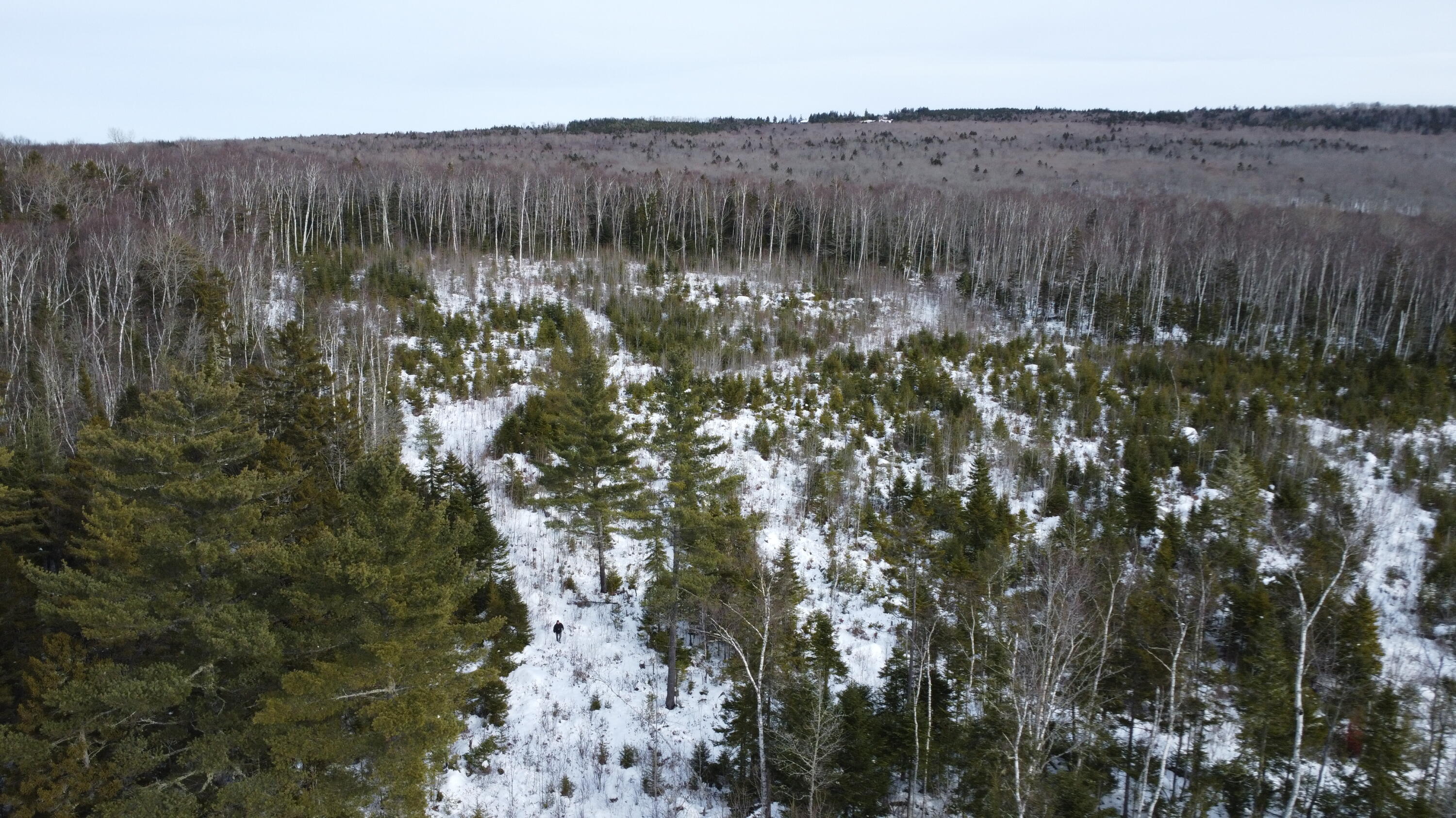 M3-l9.11 Bemis Road Rangeley, ME 04970 - Photo 3 of 20 Top of Parcel