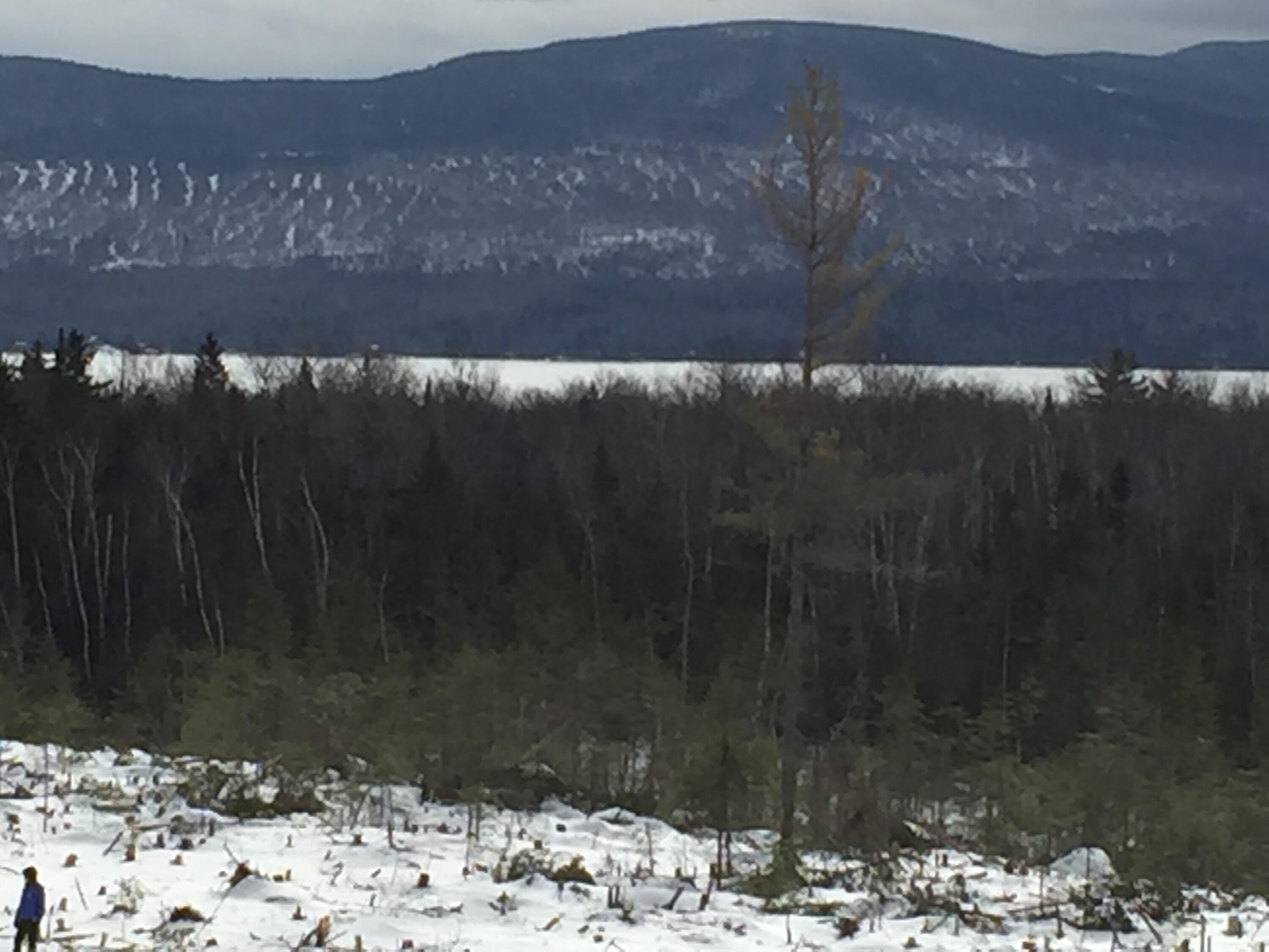 M3-l9.11 Bemis Road Rangeley, ME 04970 - Photo 6 of 20 Photo from up top