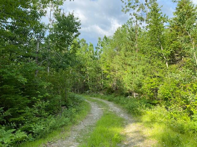 M3-l9.11 Bemis Road Rangeley, ME 04970 - Photo 7 of 20 Shared Driveway