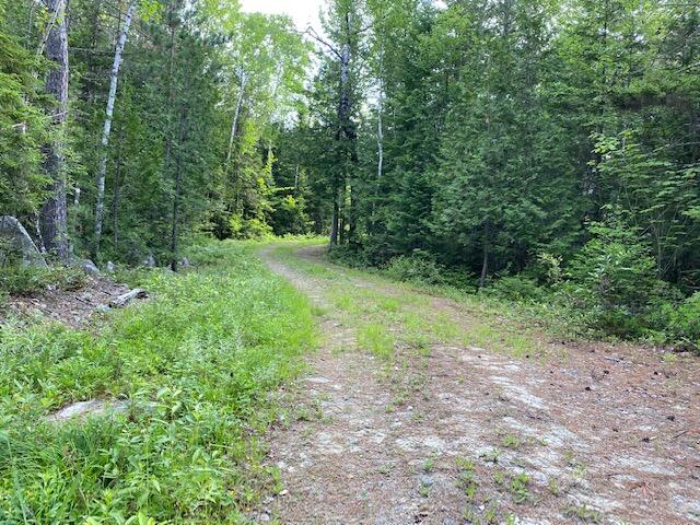 M3-l9.11 Bemis Road Rangeley, ME 04970 - Photo 8 of 20 Driveway, Shared