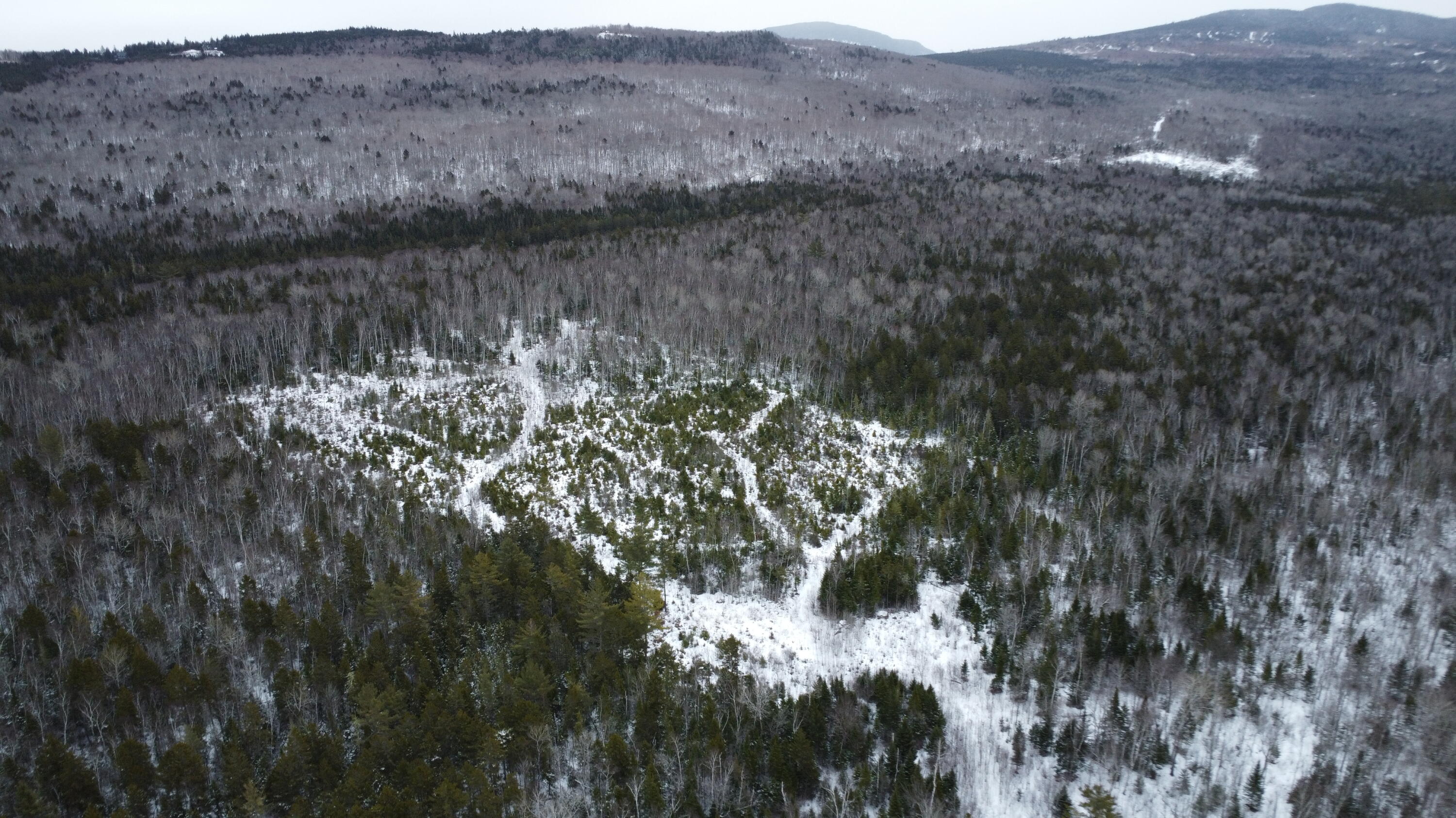 M3-l9.11 Bemis Road Rangeley, ME 04970 - Photo 9 of 20 Top of Parcel