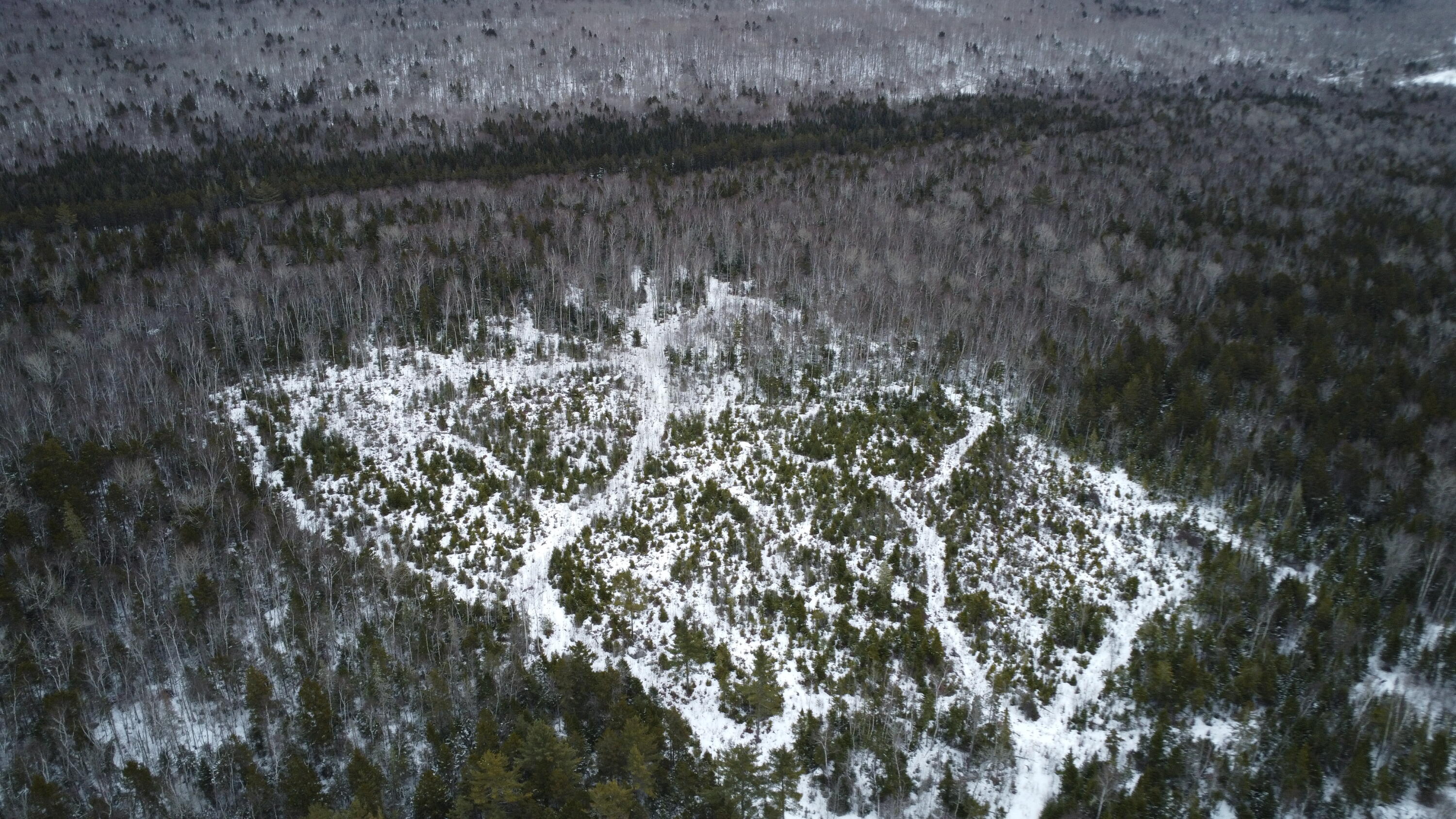 M3-l9.11 Bemis Road Rangeley, ME 04970 - Photo 10 of 20 Top of Parcel