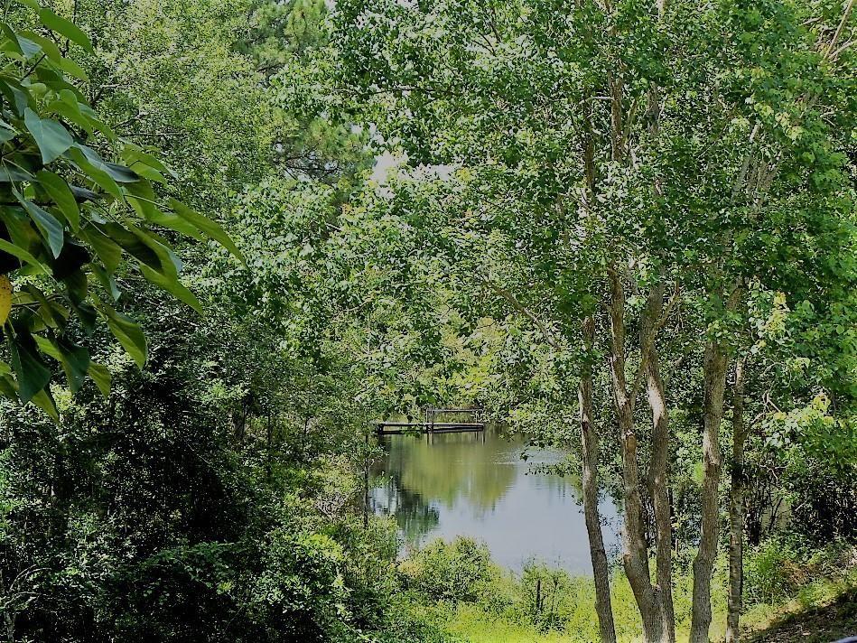211 Foxchase Way Crestview, FL 32536 - Photo 24 of 24 a view of lake