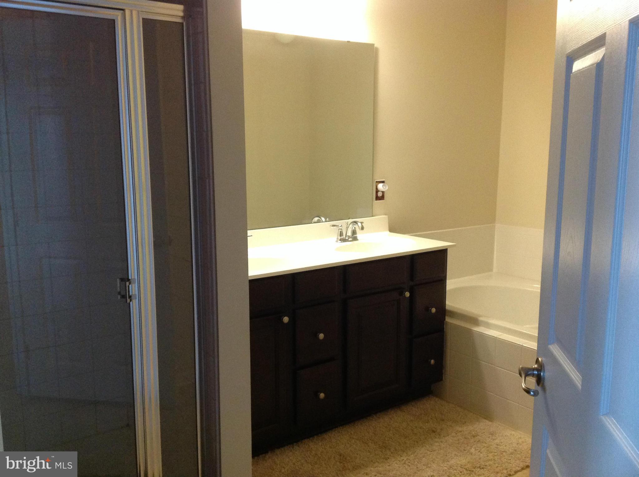2604 St Marys View Road Accokeek, MD 20607 - Photo 18 of 27 Bath (Master)