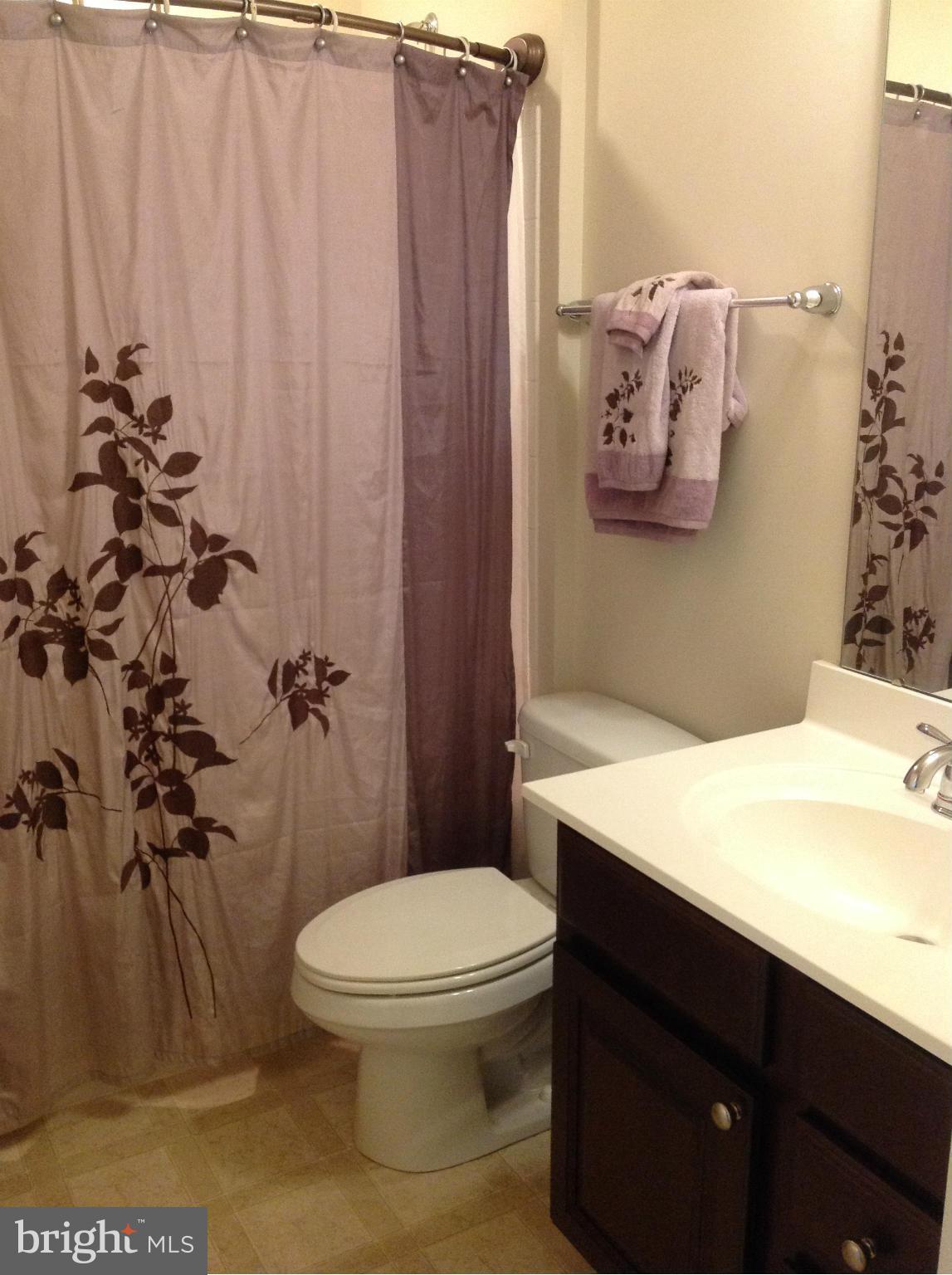 2604 St Marys View Road Accokeek, MD 20607 - Photo 10 of 27 Bath