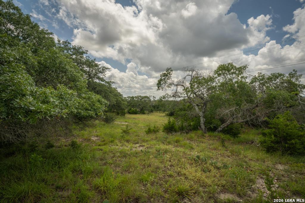 3044 Ridge Crossing Bulverde, TX 78163 - Photo 8 of 12 Gallery Image 8