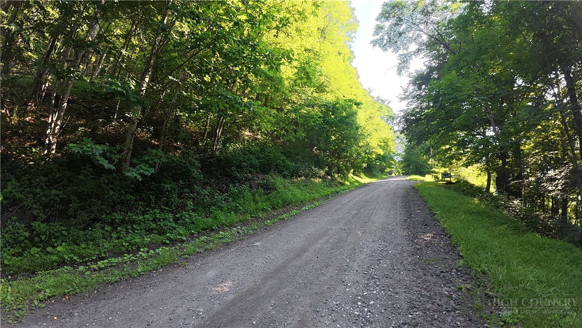 Little Tree Road West Jefferson, NC 28694 - Photo 11 of 15 a view of a road with plants and trees all around